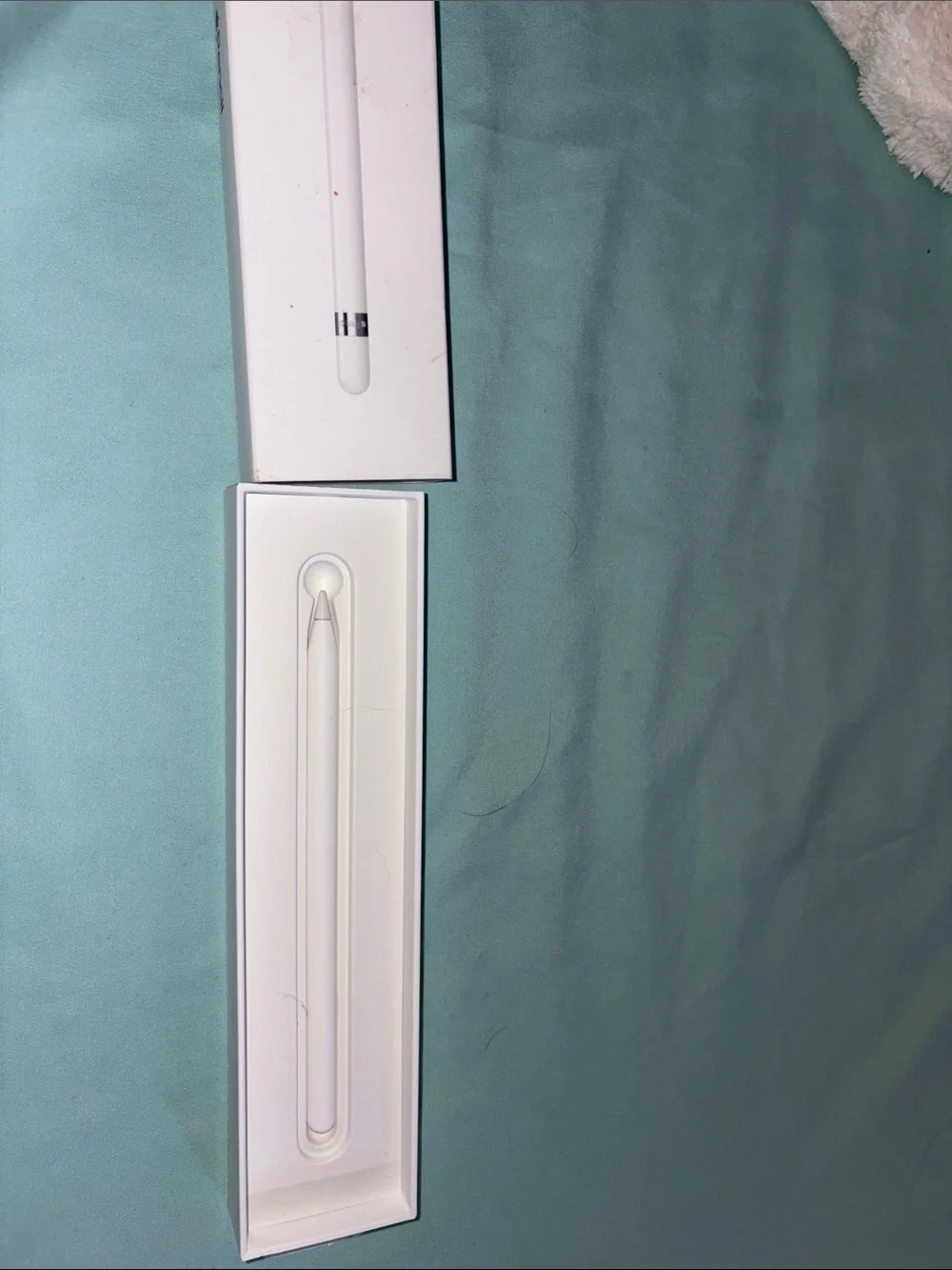 Apple Pencil Packaging - White with Light Blue Background